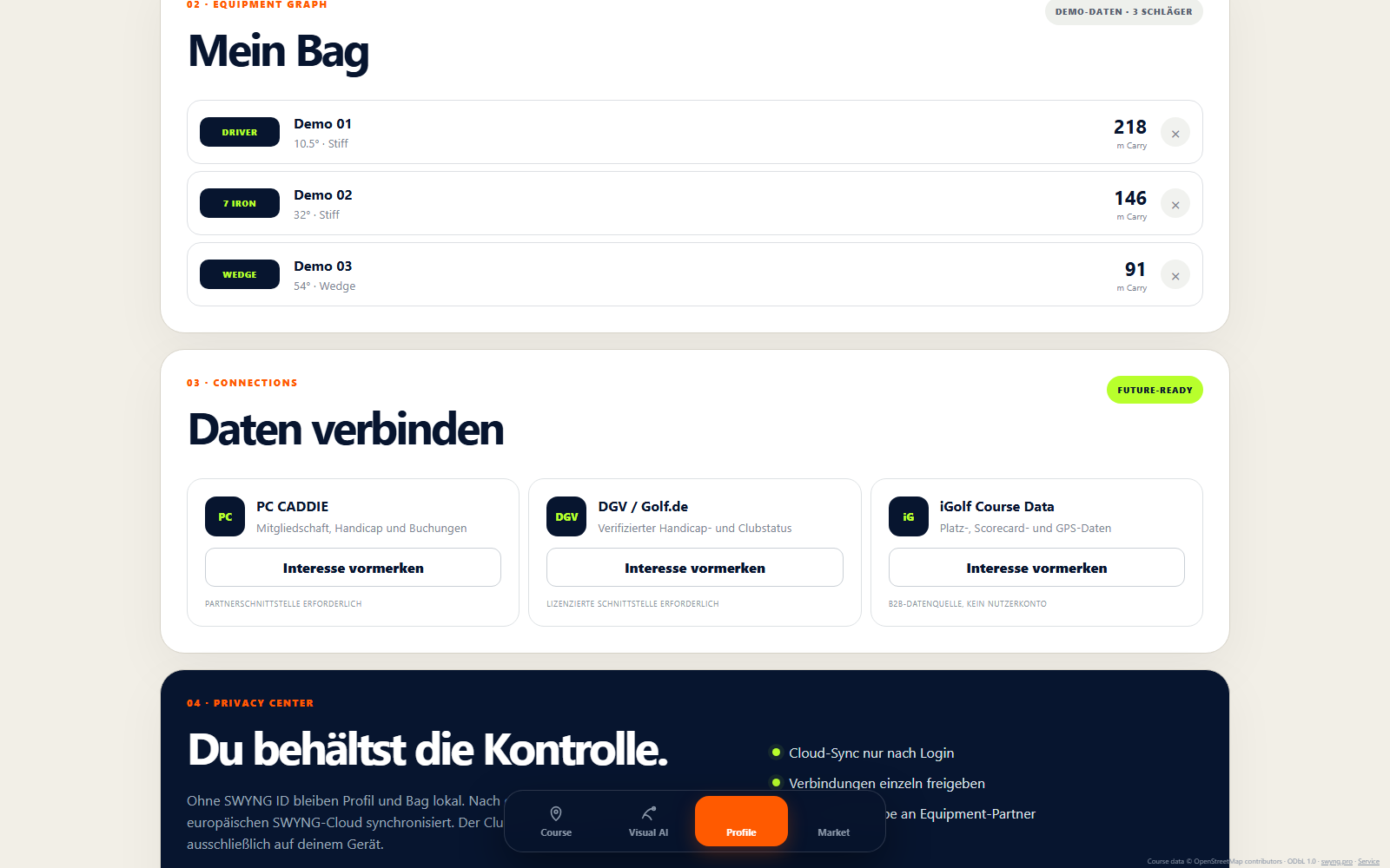 SWYNG Private Beta — Profile & Bag